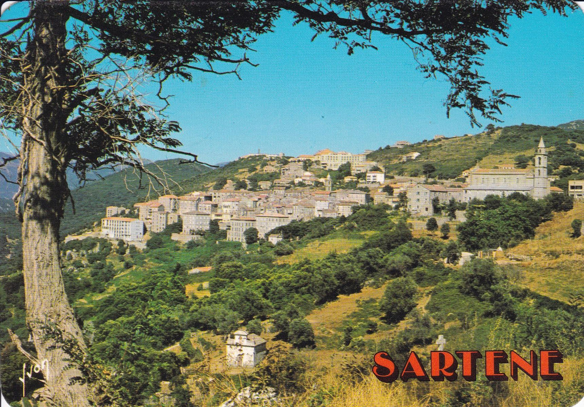 POSTAL 18137: Sartene (Corse)