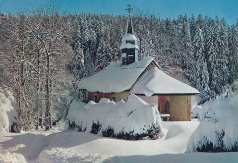 POSTAL 18172: Les Vosges sous la neige
