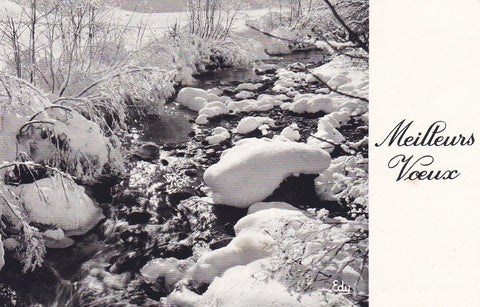 POSTAL 18196: Images de chez nous en hiver