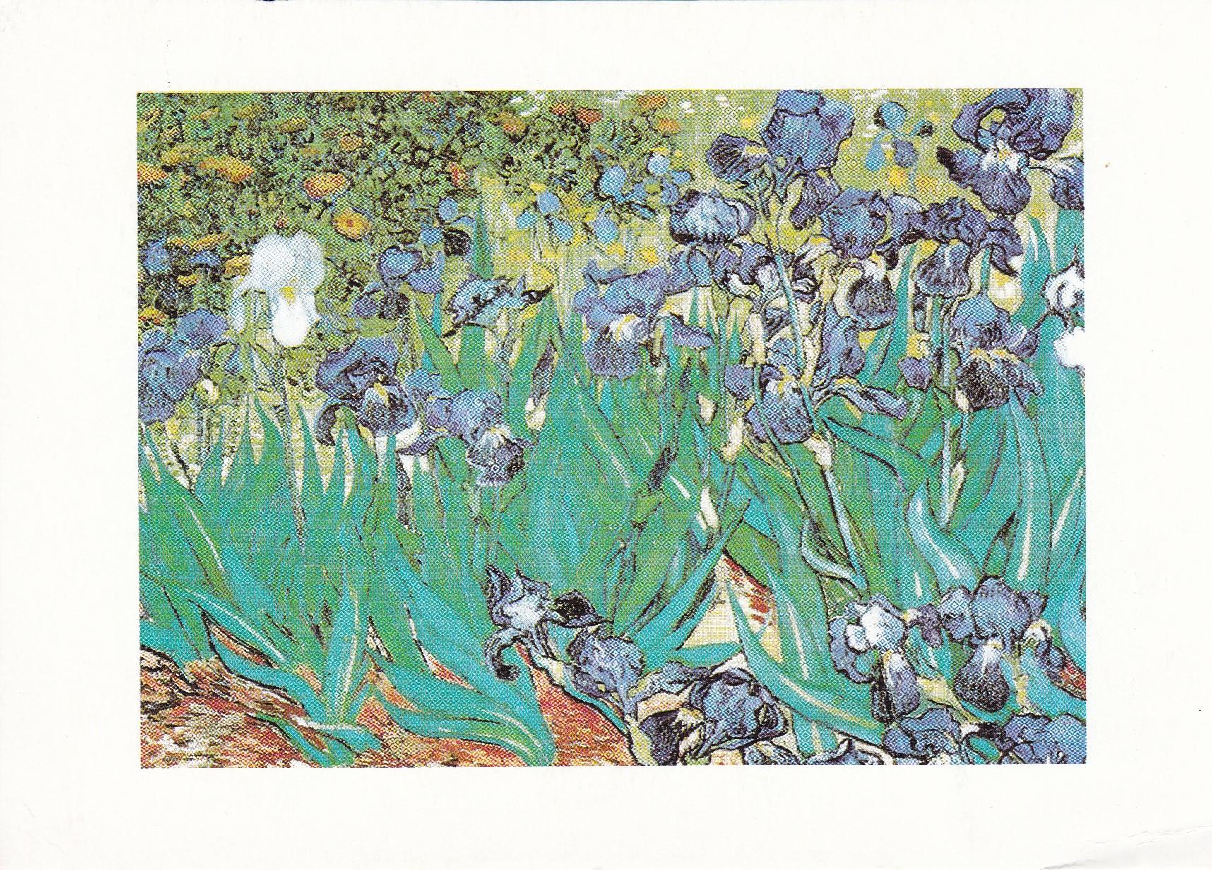 POSTAL 18226: Lirios de Vincent van Gogh