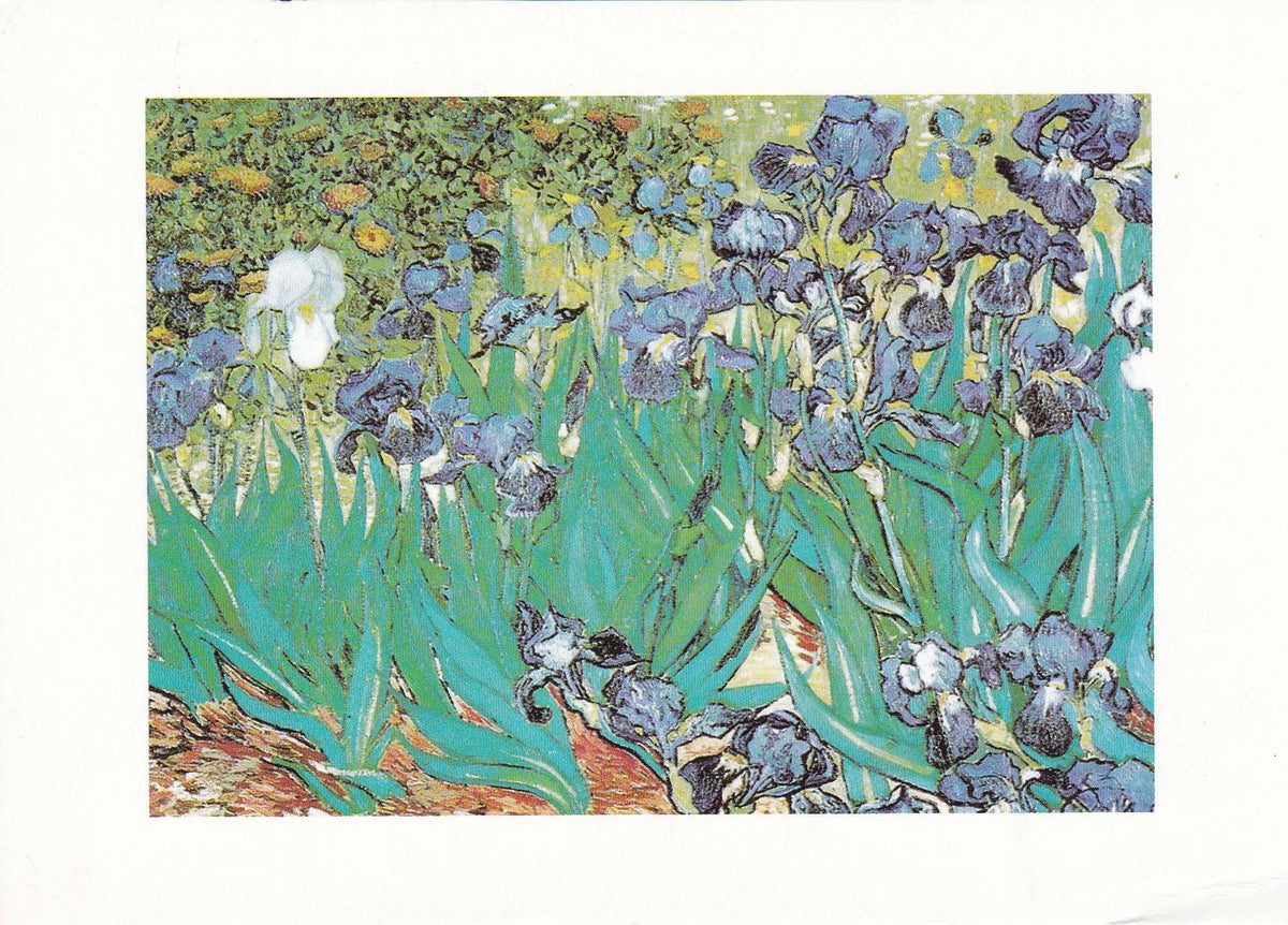 POSTAL 18226: Lirios de Vincent van Gogh