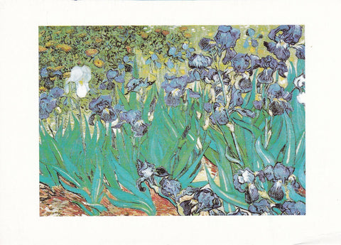 POSTAL 18226: Lirios de Vincent van Gogh