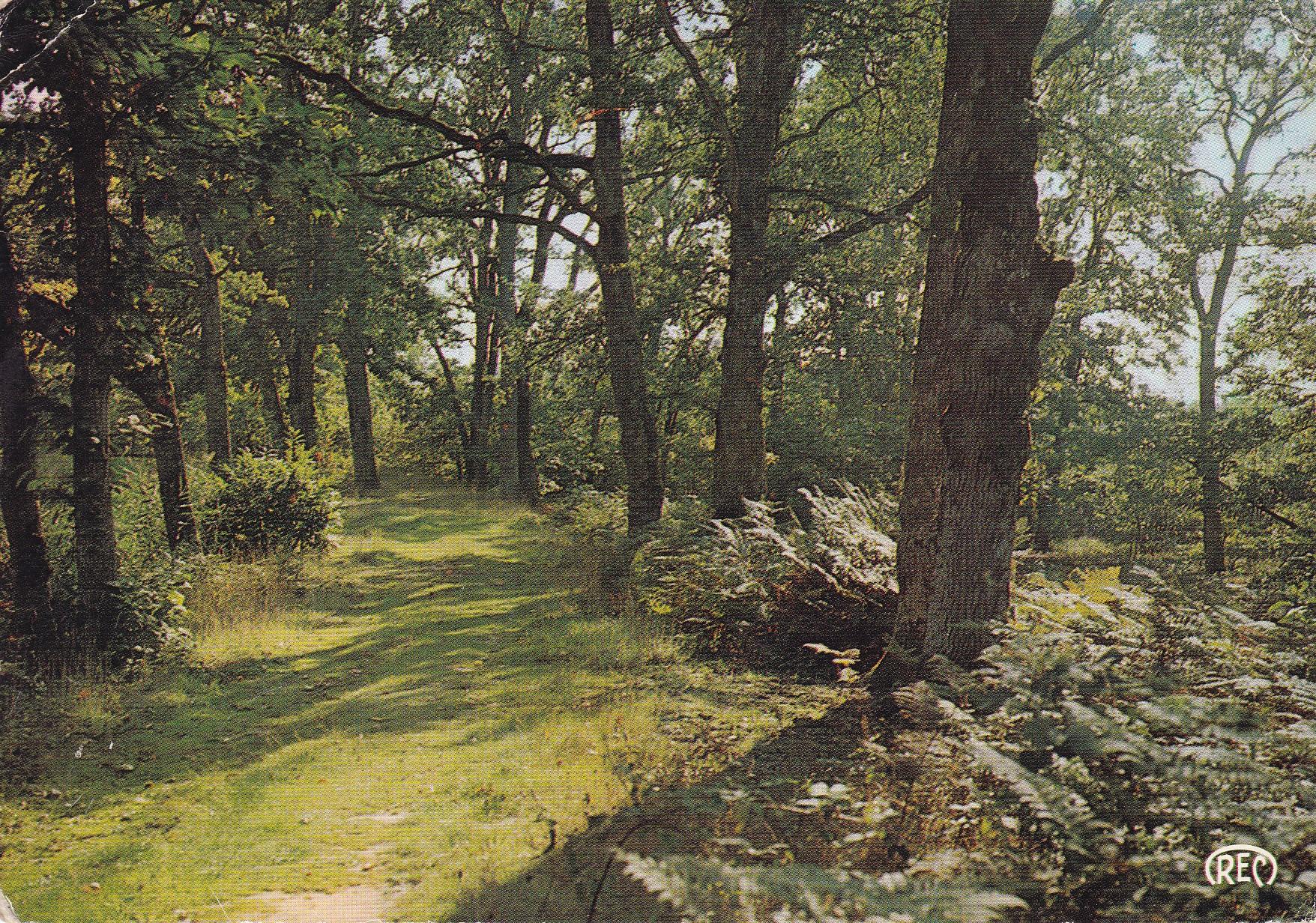 POSTAL 18243: Environs de Chateaumeillant