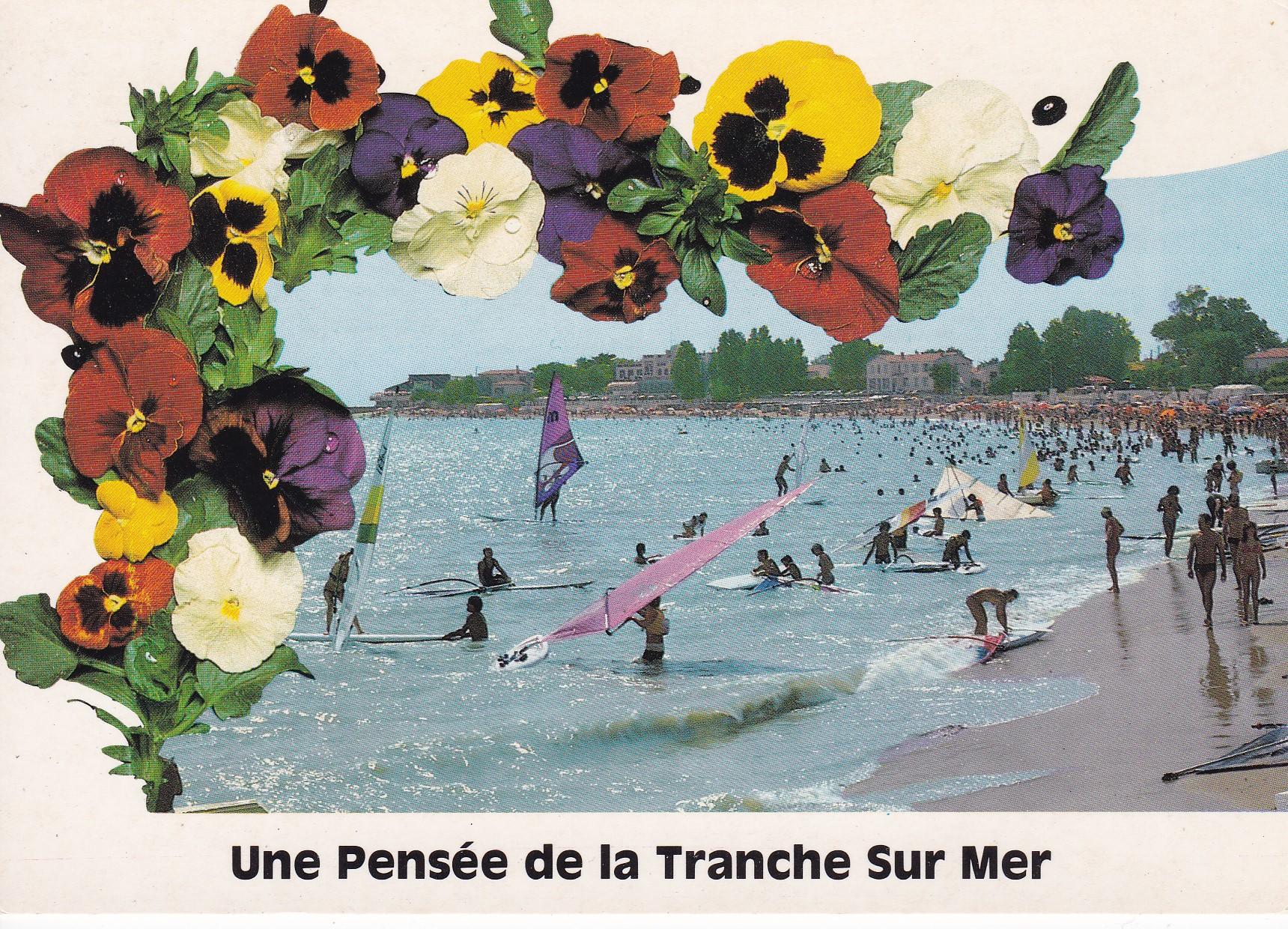POSTAL 18295: La Tranche sur Mer