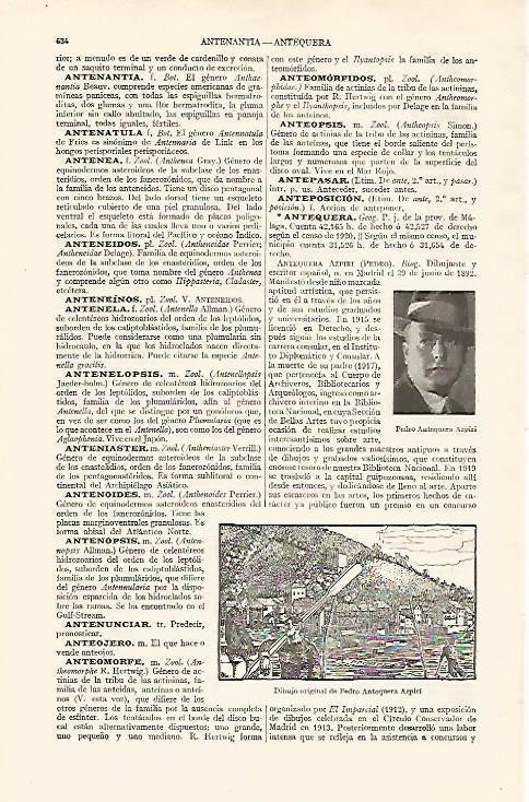 LAMINA ESPASA 19062: Dibujo de Pedro Antequera Azpiri