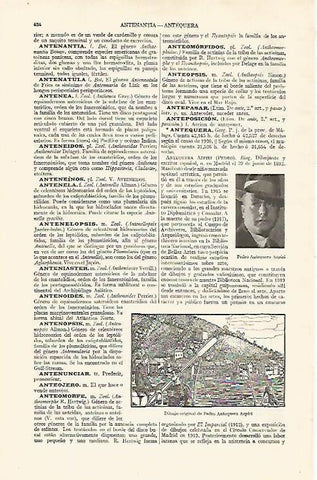 LAMINA ESPASA 19062: Dibujo de Pedro Antequera Azpiri