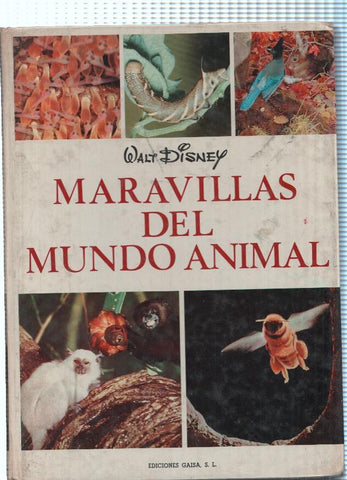 Maravillas del mundo animal