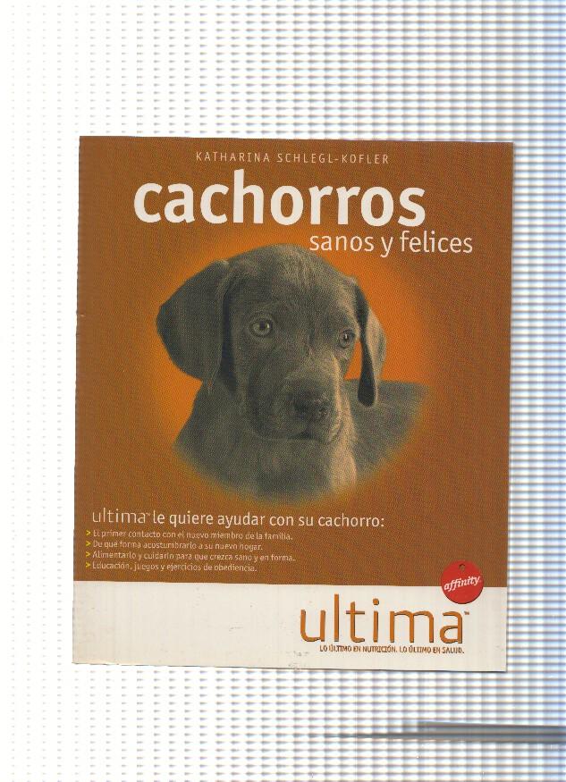 Cachorros sanos y felices