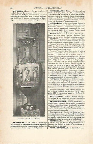 LAMINA ESPASA 6986: Anfora del Museo Nacional de Florencia