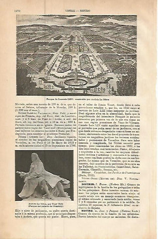 LAMINA ESPASA 9587: Parque de Louvois Francia