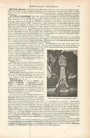 LAMINA ESPASA 10671: Monumento de la Mutualidad en Caen