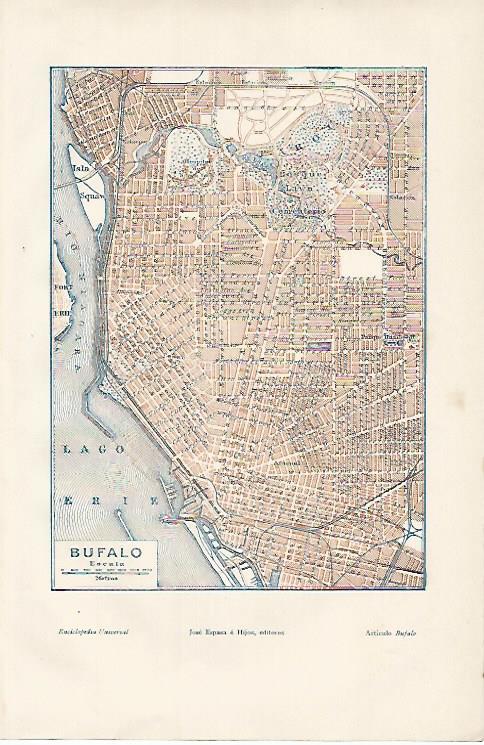 LAMINA ESPASA 11879: Plano de Buffalo Estados Unidos