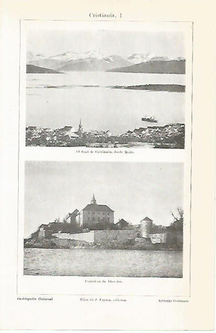 LAMINA ESPASA 14214: Vistas del fiordo de Cristiania Noruega