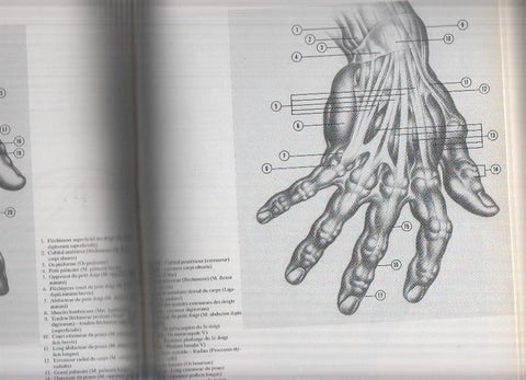 LE DESSIN ANATOMIQUE FACILE - Burne Hogarth (TASCHEN 1993)