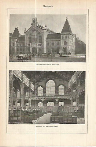 LAMINA ESPASA 17821: Mercado central de Budapest
