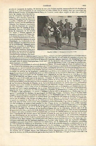 LAMINA ESPASA 18429: Transporte militar de heridos leves