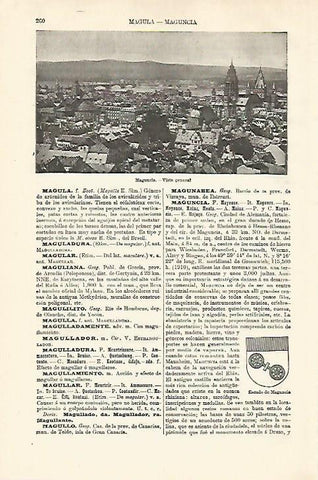 LAMINA ESPASA Alemania 18519: Vista y escudo de Maguncia Alemania