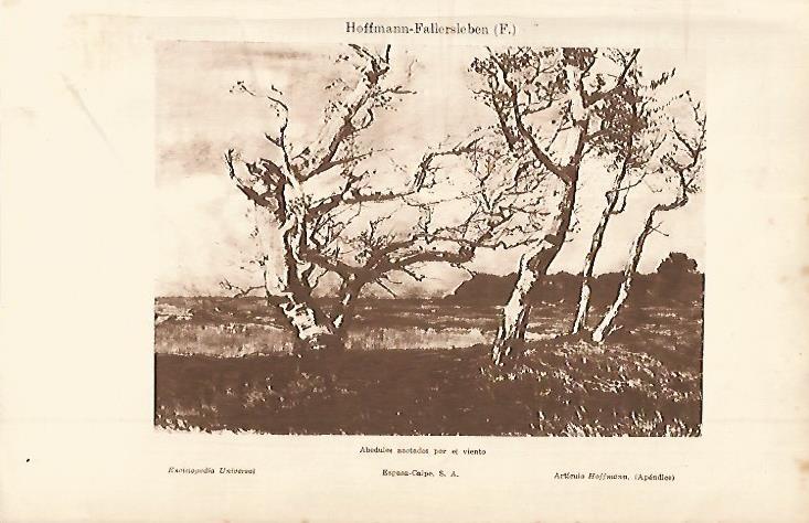 LAMINA ESPASA 11423: Abedules azotados por el viento por Hoffmann-Falleersleben