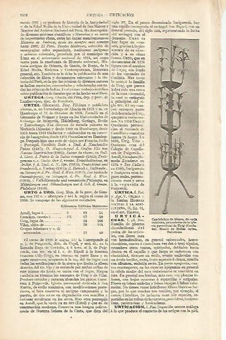 LAMINA ESPASA 12206: Candelabro de la iglesia de Urtg Cerdeña