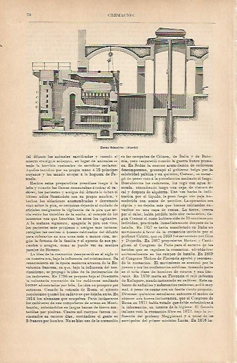 LAMINA ESPASA 14166: Horno Schneider