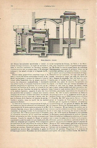 LAMINA ESPASA 14166: Horno Schneider