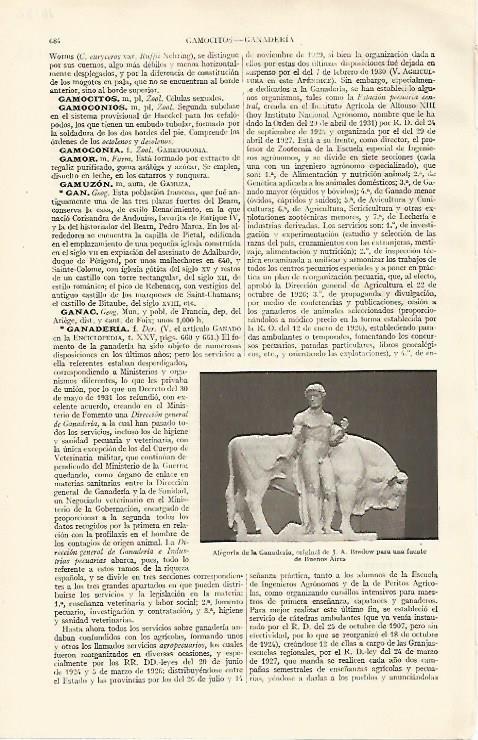 LAMINA ESPASA 16132: Alegoria de la Ganaderia