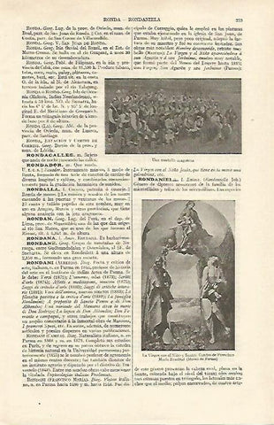 LAMINA ESPASA 16927: Una rondalla de Aragon