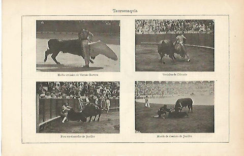 LAMINA ESPASA 5780: Pases de tauromaquia por Chicuelo Joselito y Vicente Barrera