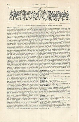 LAMINA ESPASA 17705: Ceremonias del ñañiguismo