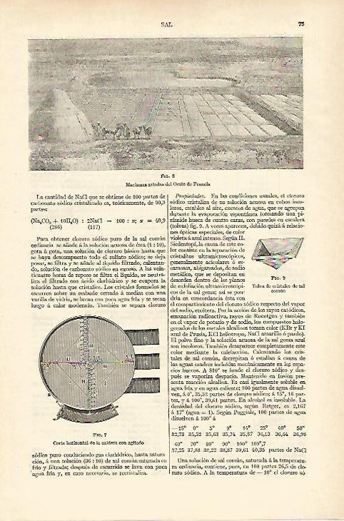 LAMINA ESPASA 18141: Marismas saladas en Francia