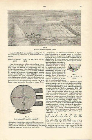 LAMINA ESPASA 18141: Marismas saladas en Francia