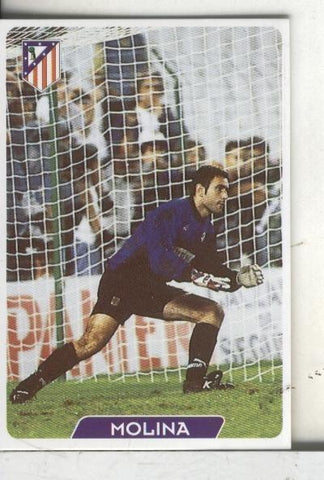 Cromos: Super Futbol liga 96: At.Madrid: Molina