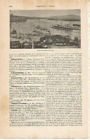 LAMINA DE ESPASA 460: Vista del puerto del Pireo Atenas