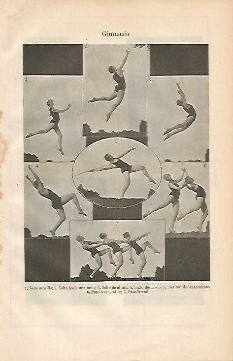 LAMINA ESPASA 2083: Saltos de gimnasia