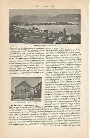 LAMINA ESPASA 5065: Vistas de Rapperswil Suiza