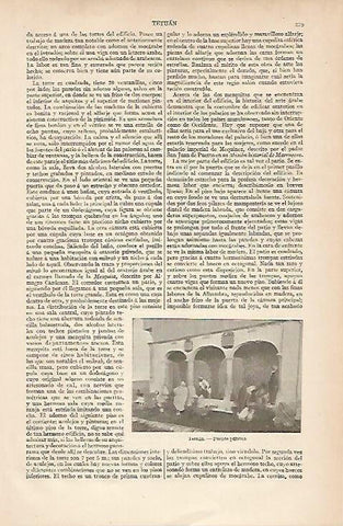 LAMINA ESPASA 8312: Fuente publica en Tetuan Marruecos
