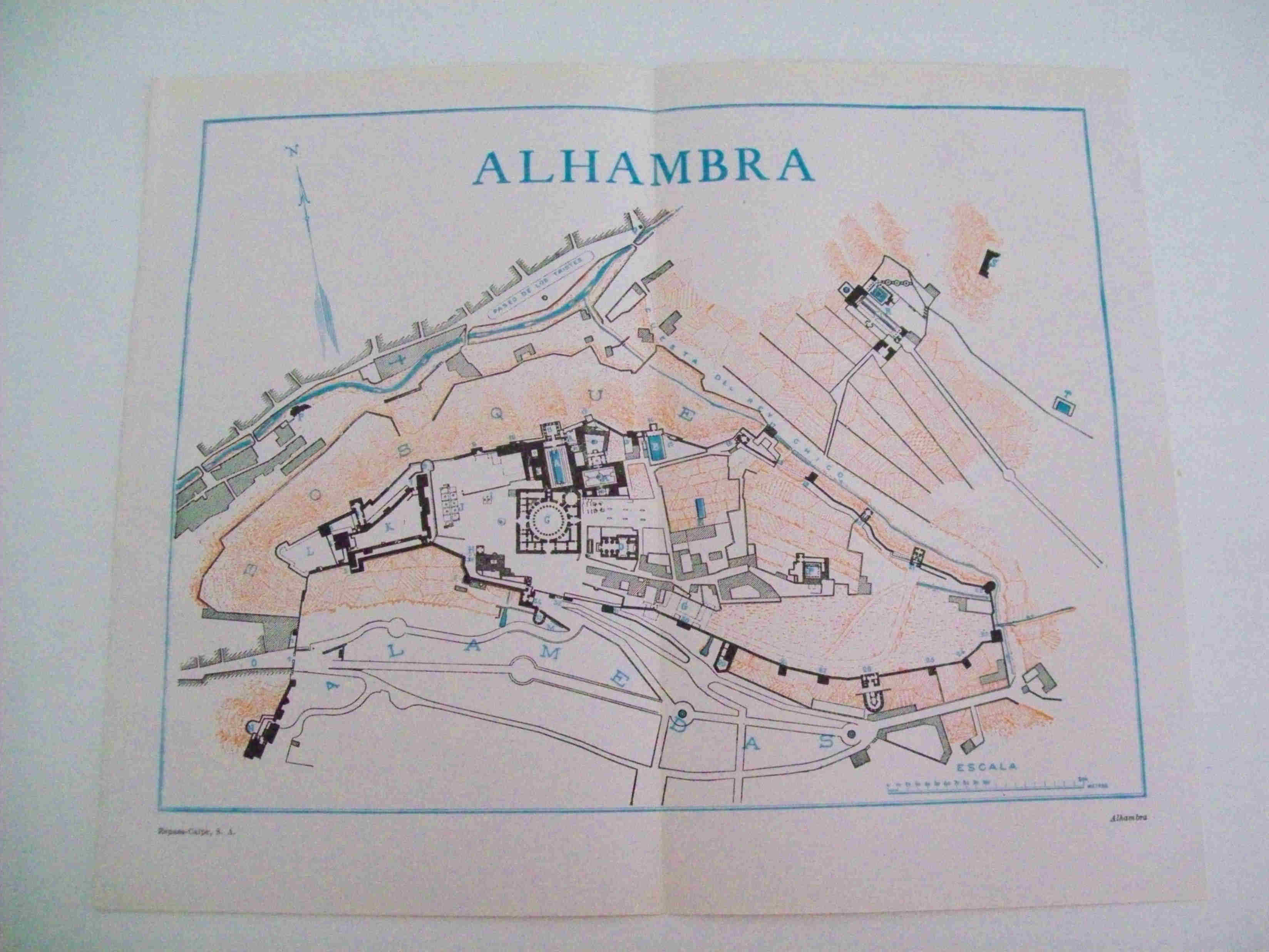 LAMINA ESPASA 11210: Plano de  la Alhambra de Ganada