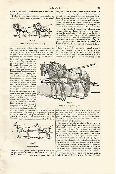 LAMINA ESPASA 12939: Atalaje de cuatro caballos de tronco para tiro pesado y de tandem