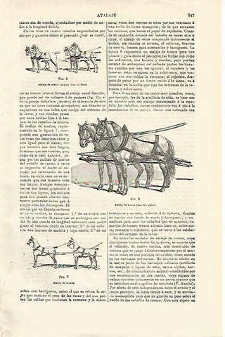 LAMINA ESPASA 12939: Atalaje de cuatro caballos de tronco para tiro pesado y de tandem
