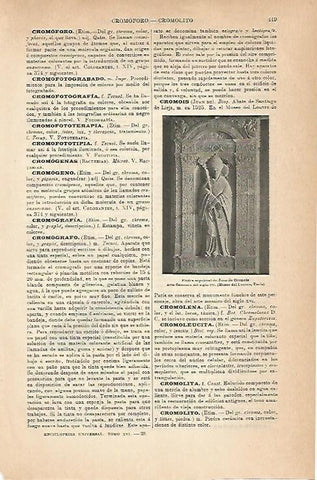 LAMINA ESPASA 14242: Piedra sepulcral de Juan de Cromois