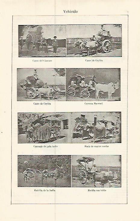 LAMINA ESPASA 17383: Tipos de vehiculos