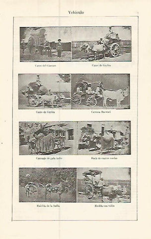 LAMINA ESPASA 17383: Tipos de vehiculos