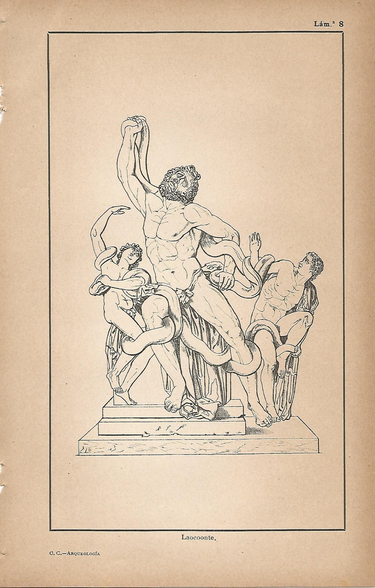 Lamina 008:Laocoonte