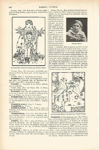 LAMINA ESPASA 1471: Dibujos de Pamela Blanco
