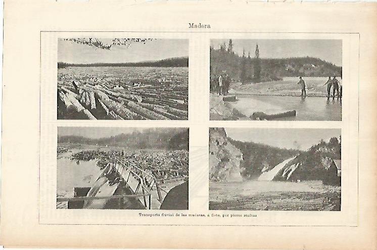 LAMINA ESPASA 1736: Transporte fluvial de madera