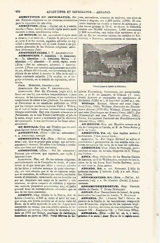 LAMINA ESPASA 8125: Castillo de Rothelstein Austria