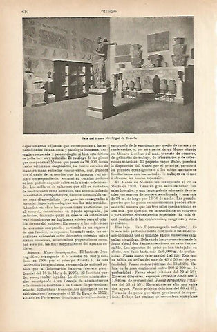 LAMINA ESPASA 10407: Sala del Museo Municipal de Brescia