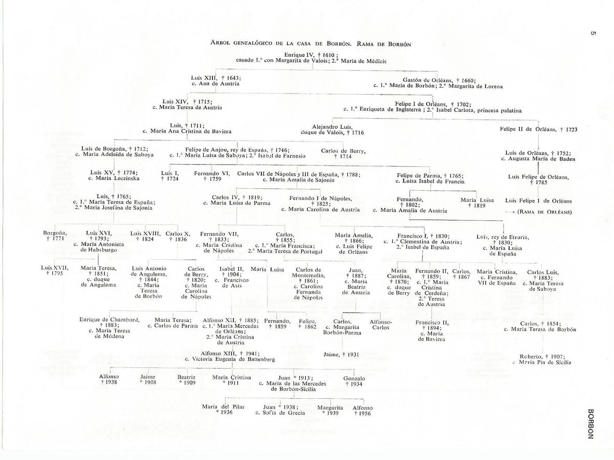 Lamina 041: Arbol genealogico de la Casa de Borbon. Rama de Borbon