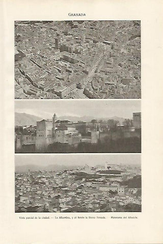 LAMINA SALVAT 80011: Vistas de Granada
