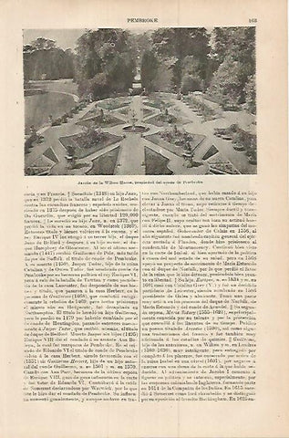 LAMINA ESPASA 17949: Jardin de la Wilton House